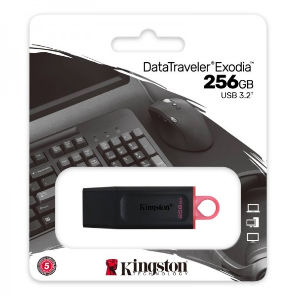 Kingston datatraveler dtx 256gb usb 3.2 gen1 negro